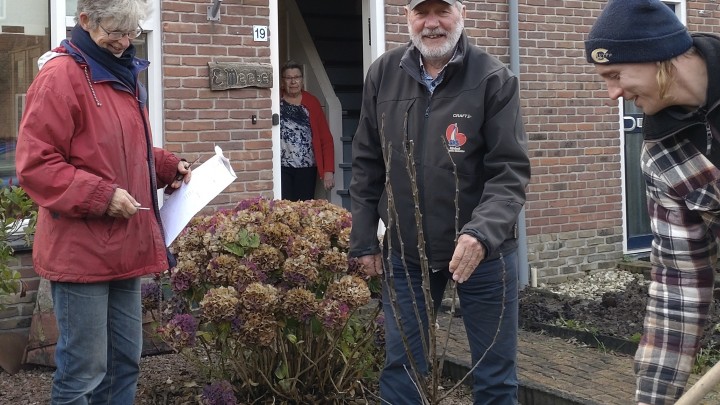 Vrijwilligers van de werkgroep Biodiversiteit van Grou2030 helpen Eildert Meeter bij het planten van zijn perenboom. Als dank verzorgden hij en zijn vrouw koffie met koek.