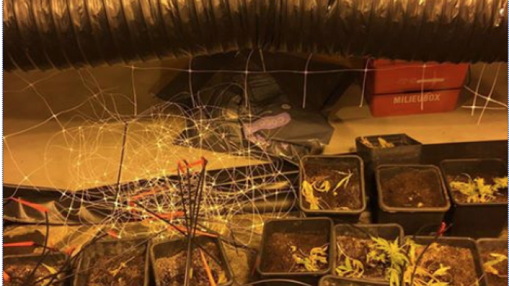 Politie vindt ontmantelde hennepplantage