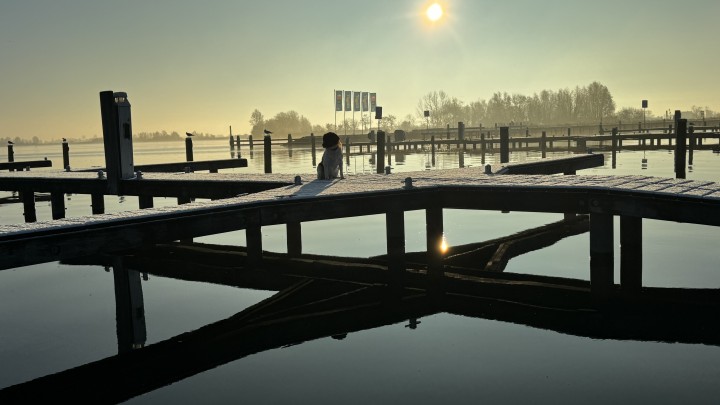 In de koude maanden overwinteren in de haven van Grou