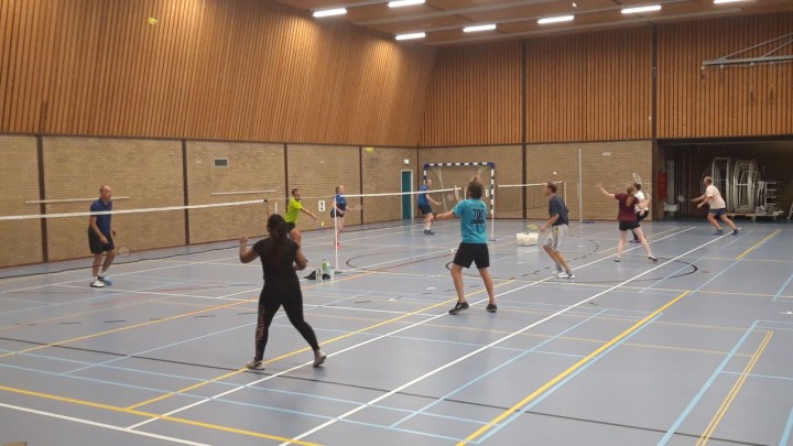 Leer badmintonnen in 10 lessen!